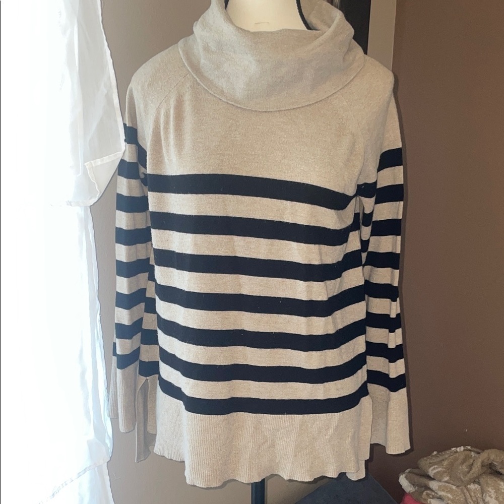 Striped Turtleneck Sweater - Black and Cream
